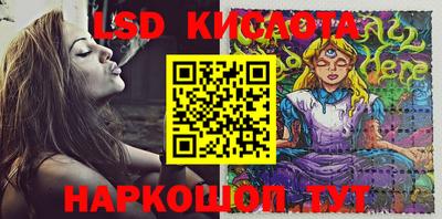 молекула духа Брянск