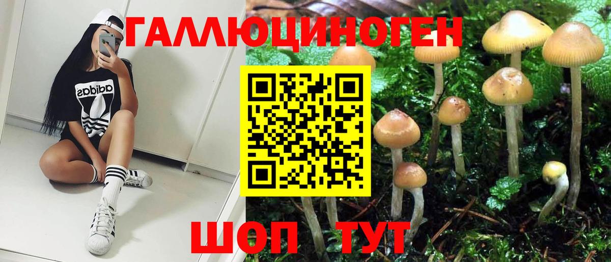 Галлюциногенные грибы Psilocybe  Вход с VPN  Галлюциногенные грибы ЛСД  Баксан 